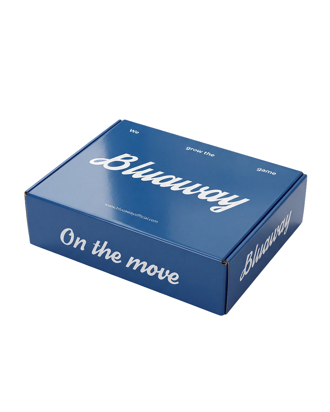 THE BLU SECRET BOX